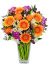Bouquet arancio e viola