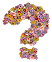 Bouquet Personalizzato