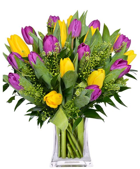 Mazzo Di Tulipani Tulipani Colorati Canstock