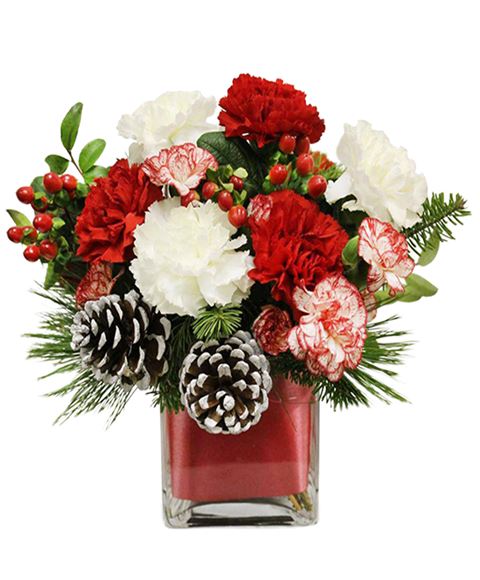 Immagini Di Fiori Natale.Regalo Di Natale Composizione In Vaso Di Garofani Rossi Dianthus Screziati Verdi E Decorazioni