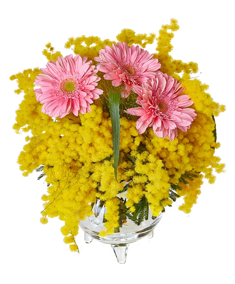 Bouquet MIMOSA